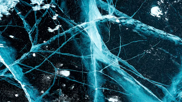 Peripheral Nerve Research